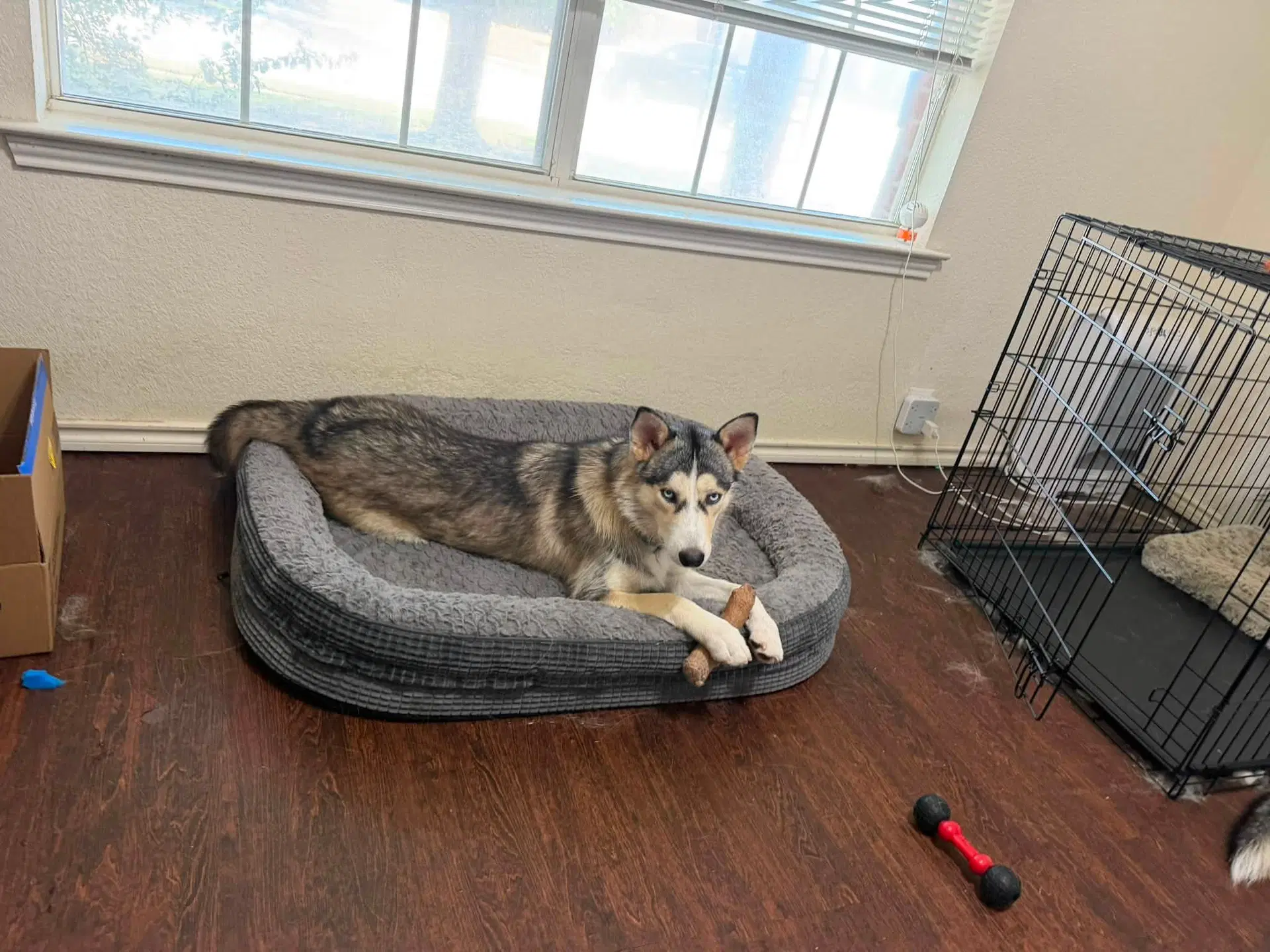 Shiloh image 3