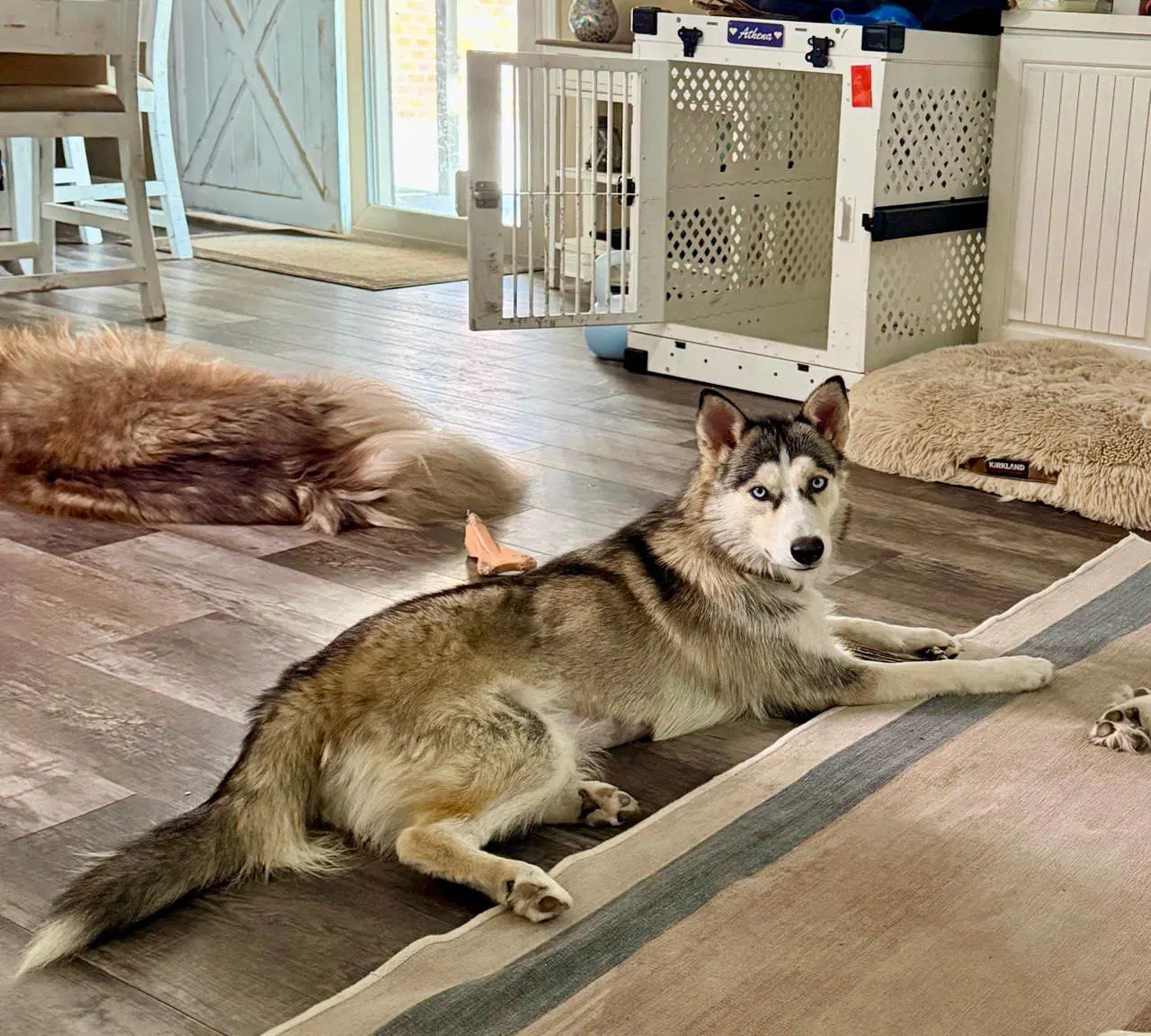 Shiloh image 4