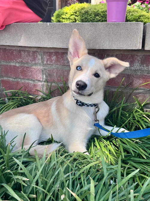 Photo 2 of Murphy