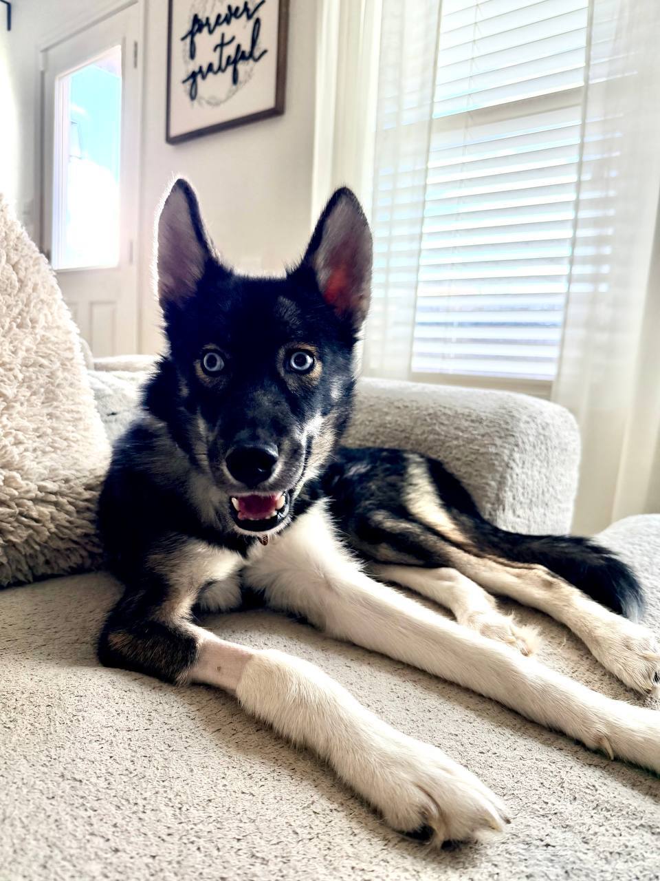 Livvy Lulu Coming Soon