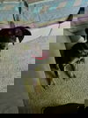 FARREN
