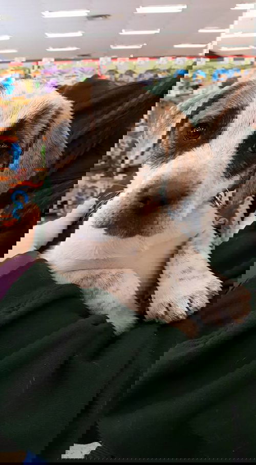 AIDAN