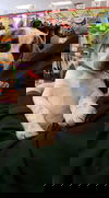 AIDAN