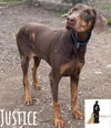 JUSTICE