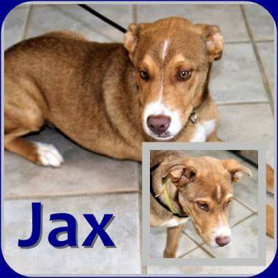 JAX