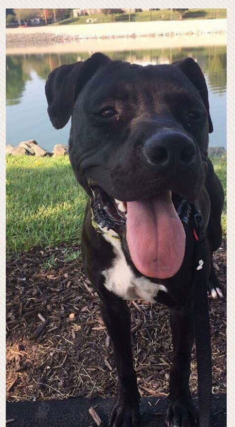 ZOEY