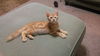 OLIVER