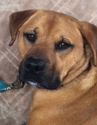 REX