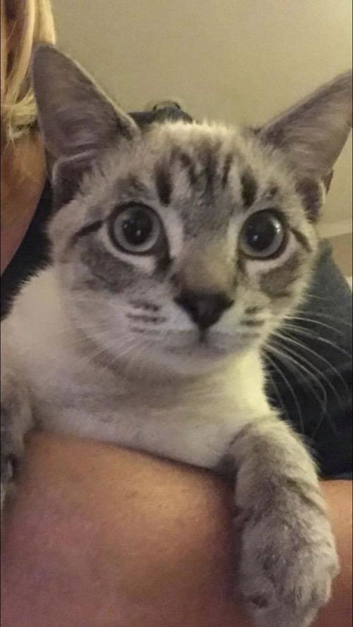 CARLOS