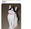 PEARL