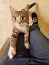 OLIVER