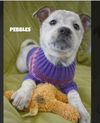PEBBLES