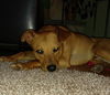 JAX