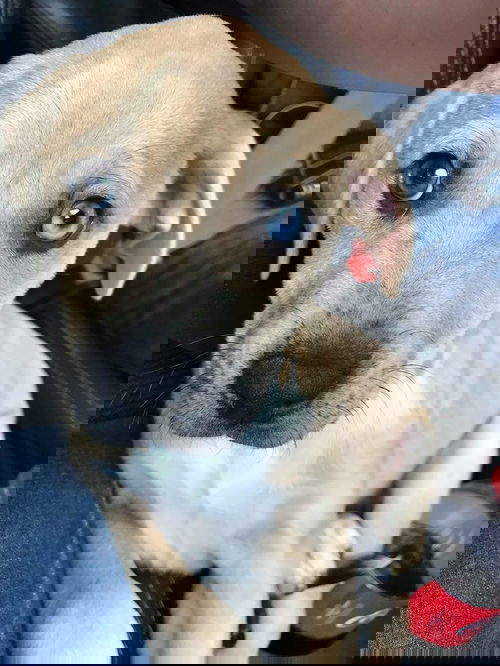 CAROLINE
