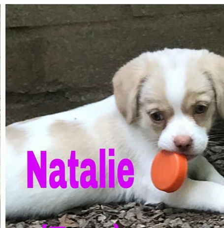 NATALIE