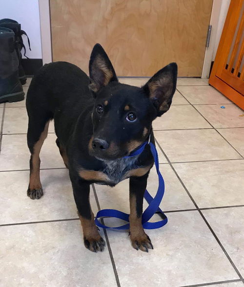 JACKSON(aka Winston)