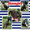 RANGER