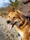 AKEELA
