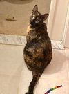 PRINCESS LEIA aka OLGA - Photo 2