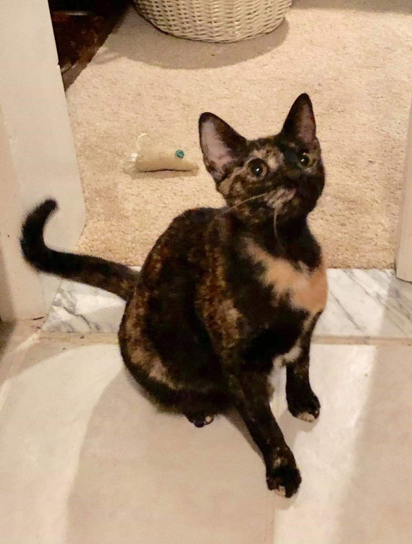 PRINCESS LEIA aka OLGA