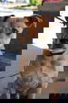 JACKSON