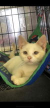 MARLEE (female)