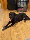 SAWYER