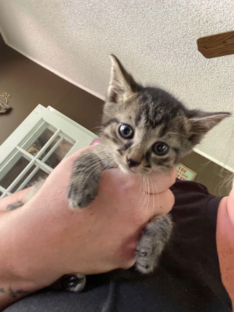 MARCO