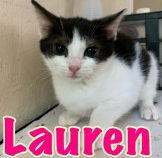 Lauren