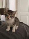 MR. BIGGLESWORTH