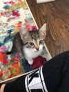 MR. BIGGLESWORTH