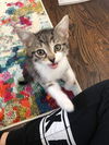 MR. BIGGLESWORTH
