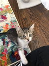 MR. BIGGLESWORTH