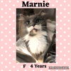MARNIE