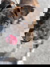 NEO