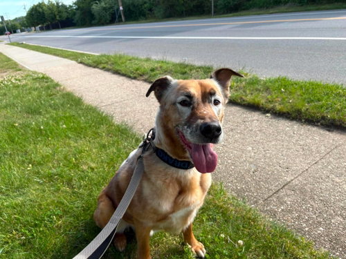 DRAKO photo 1