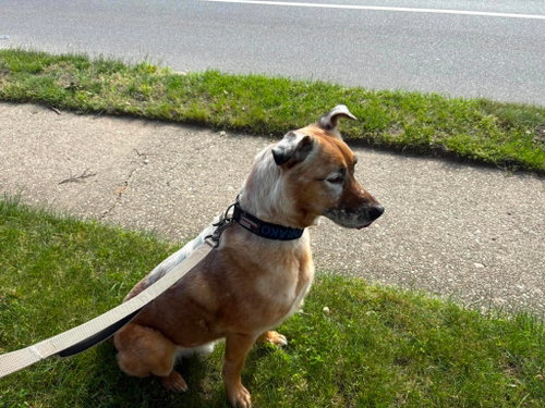 DRAKO photo 2