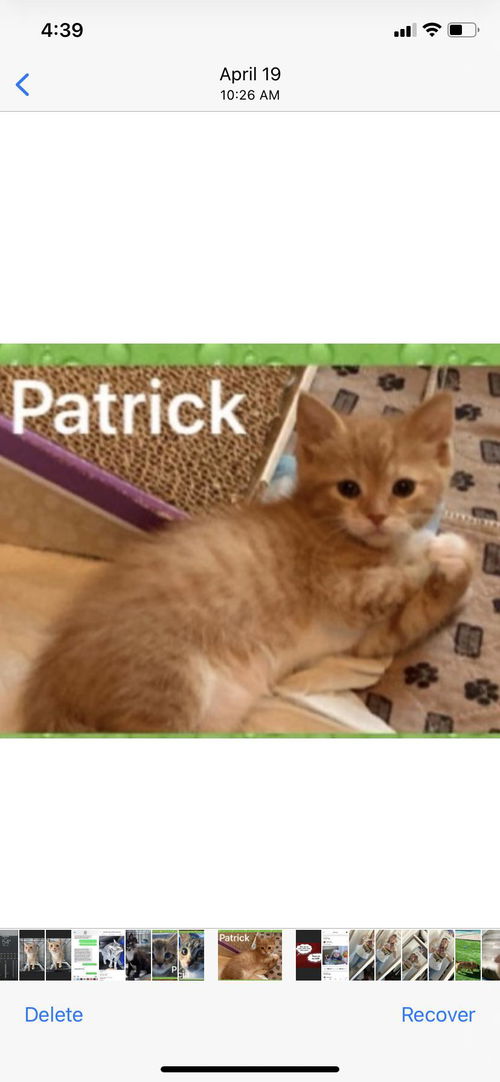 PATRICK