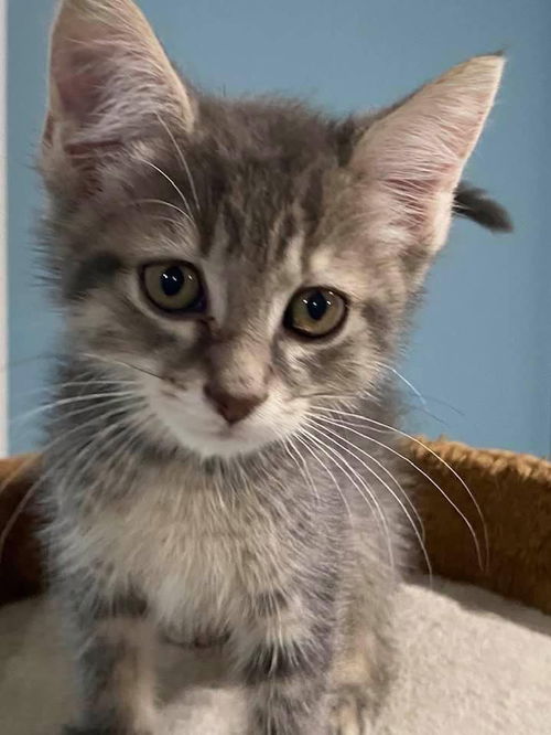 REMY