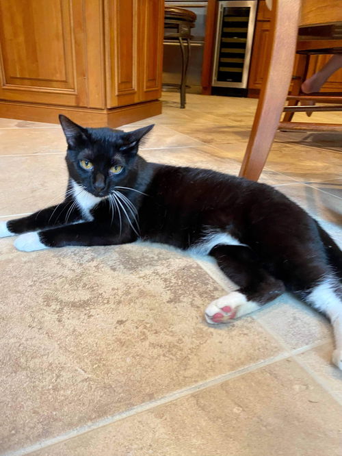 ALFONSO