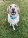 MARLEY