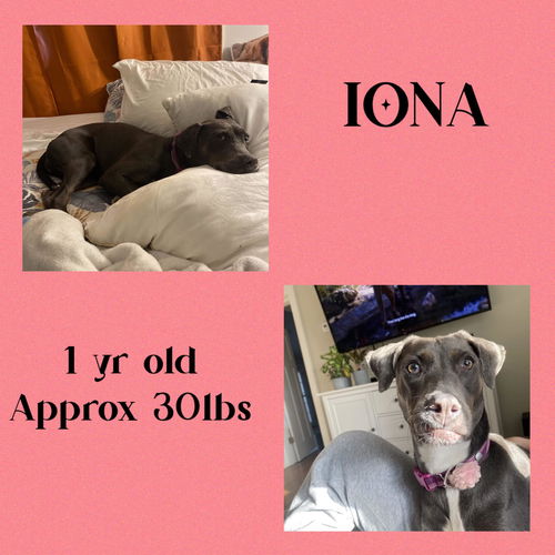 IONA