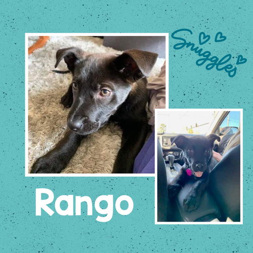 RANGO