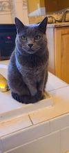 SMOKEY