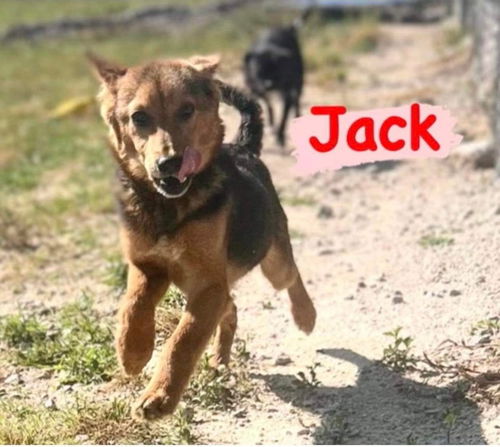 JACK