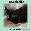 CARABELLE