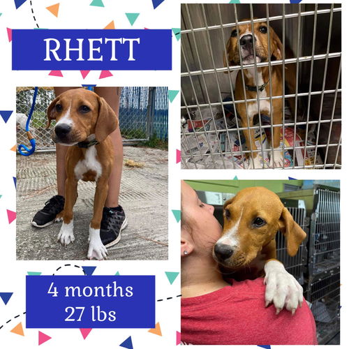 RHETT
