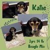 KATIE