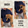 BUCKY