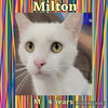 MILTON